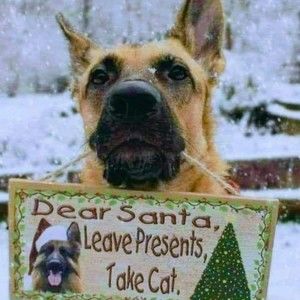 Meet your Posher, M e